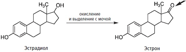 Пуговицы Наполеона. Семнадцать молекул, которые изменили мир