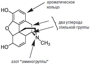 Пуговицы Наполеона. Семнадцать молекул, которые изменили мир