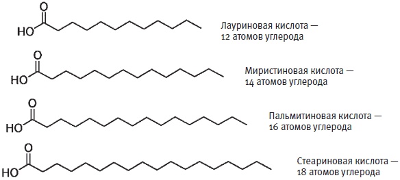 Пуговицы Наполеона. Семнадцать молекул, которые изменили мир