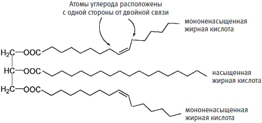 Пуговицы Наполеона. Семнадцать молекул, которые изменили мир