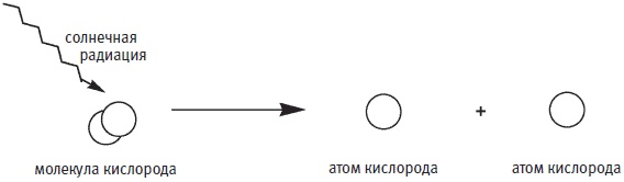 Пуговицы Наполеона. Семнадцать молекул, которые изменили мир