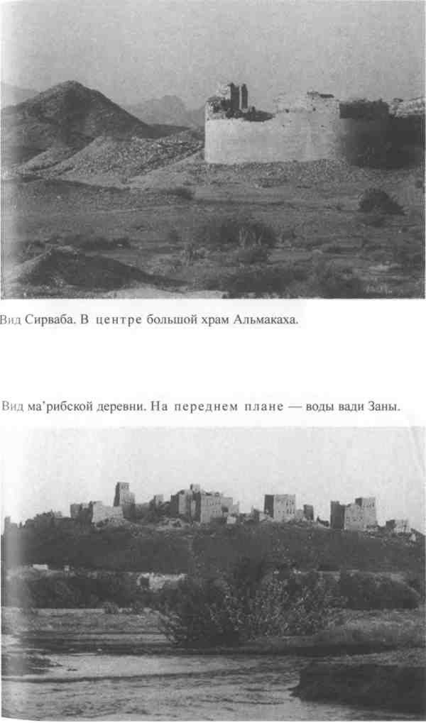 Повседневная жизнь Аравии Счастливой времен царицы Савской. VIII век до н.э. - I век н.э.