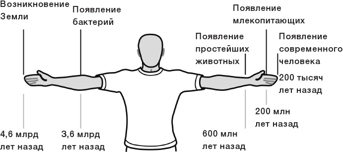 10% HUMAN. Как микробы управляют людьми