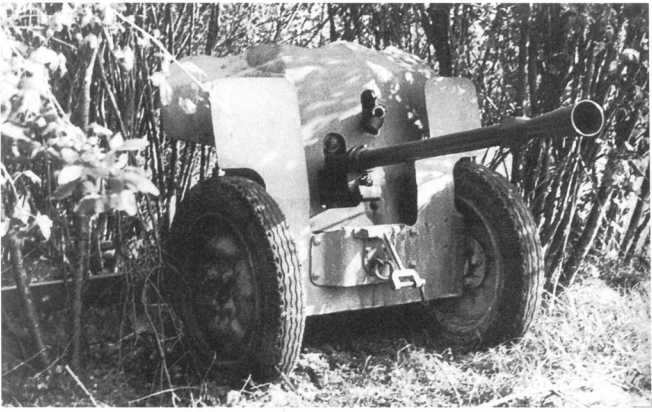 Противотанковая артиллерия Вермахта во Второй Мировой войне. От "дверных колотушек" до "убийц танков"