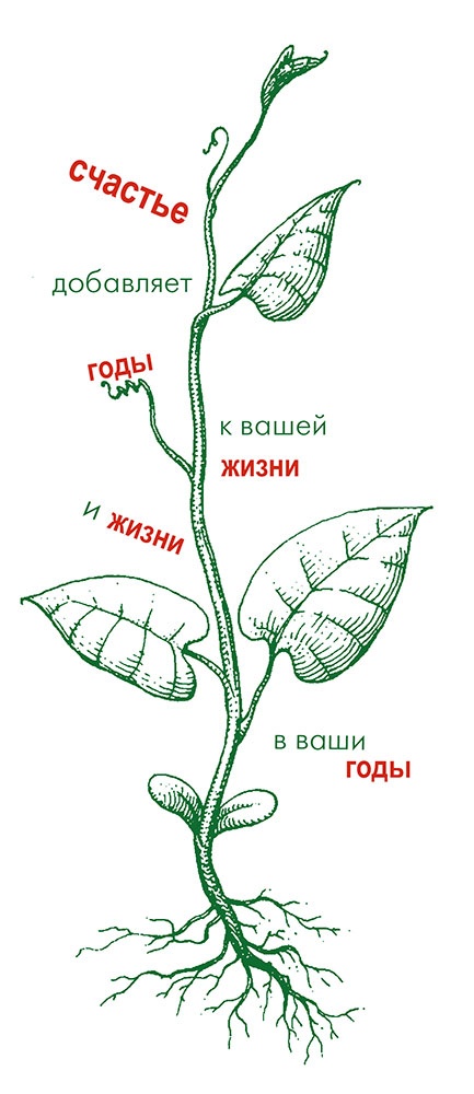 LYKKE. Секреты самых счастливых людей