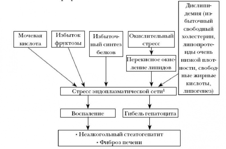 Секреты вечной молодости