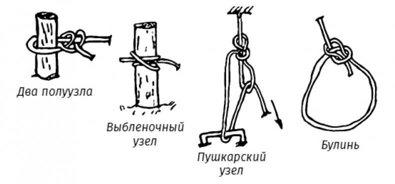 Всё и разум. Научное мышление для решения любых задач