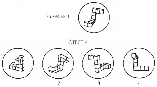 Знать или уметь? 6 ключевых навыков современного ребенка