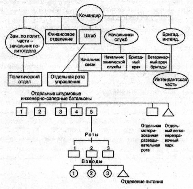 Штурмовые бригады Красной Армии. В боях за Советскую Родину