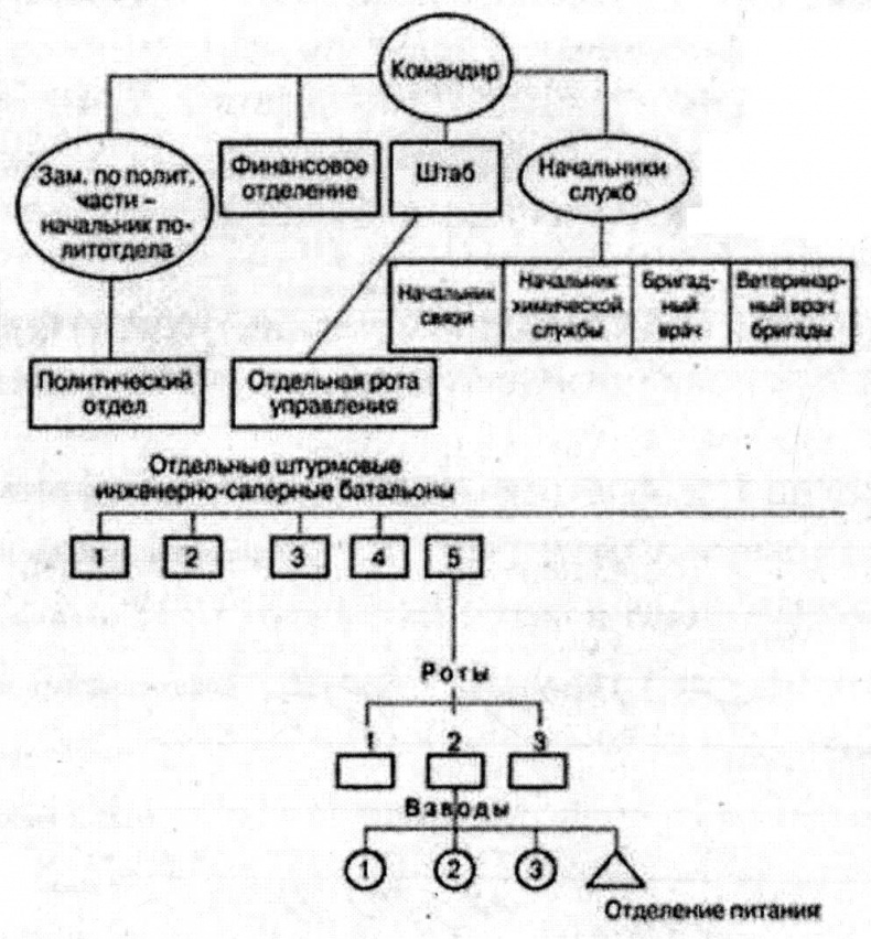 Штурмовые бригады Красной Армии. В боях за Советскую Родину