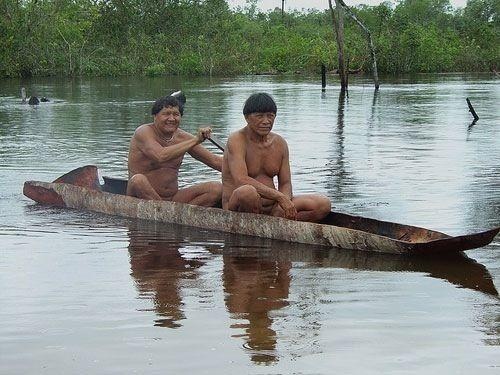 Запросы плоти. Еда и секс в жизни людей