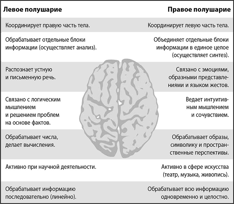 Сила интровертов. Как использовать свои странности на пользу делу