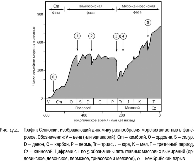 От атомов к древу. Введение в современную науку о жизни