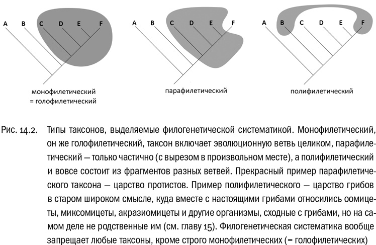 От атомов к древу. Введение в современную науку о жизни