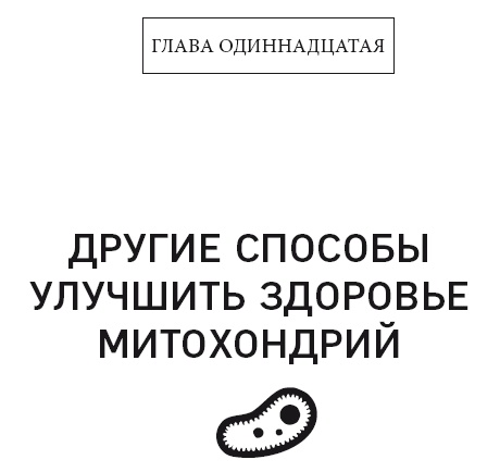 Кето-диета. Революционная система питания, которая поможет похудеть и научит ваш организм превращать жиры в энергию