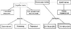 Самоходки Сталина. История советской САУ 1919 - 1945