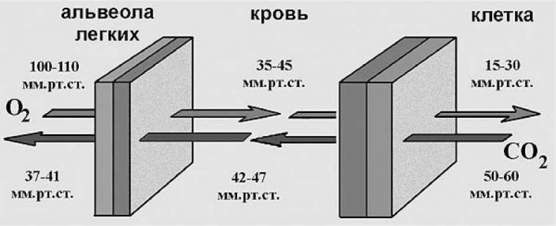 Древние боги. Кто они?