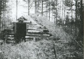 Лесные солдаты. Партизанская война на Северо-Западе СССР. 1941-1944