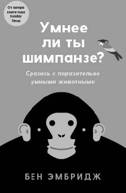 Обои-убийцы, ядовитая вода и стул-обольститель. Как выжить в собственной квартире