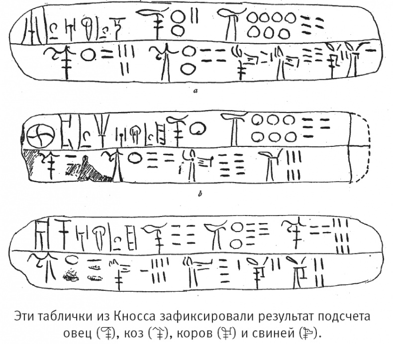 Тайна лабиринта. Как была прочитана забытая письменность