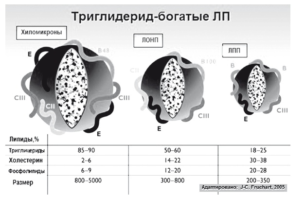 Неалкогольная жировая болезнь печени