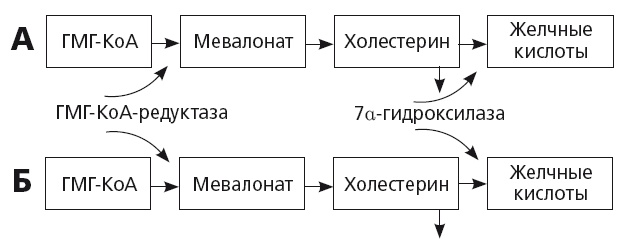 Неалкогольная жировая болезнь печени