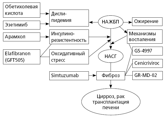 Неалкогольная жировая болезнь печени