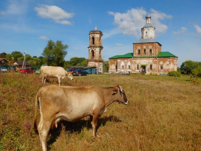 Исповедь бывшей послушницы