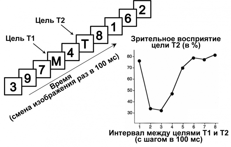 Сознание и мозг. Как мозг кодирует мысли