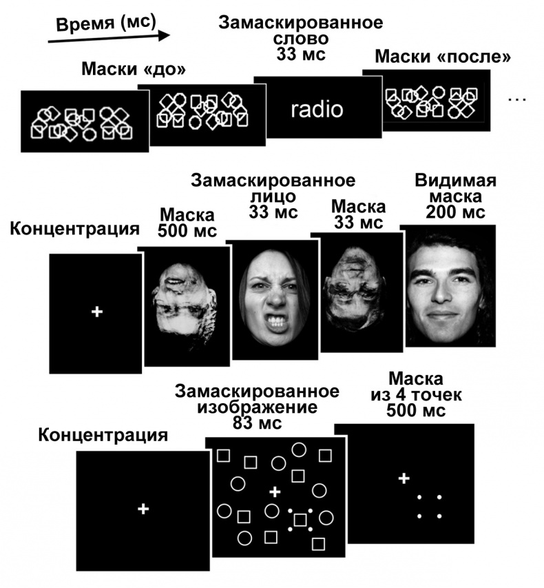 Сознание и мозг. Как мозг кодирует мысли