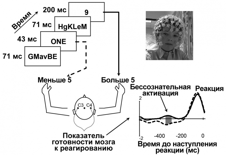 Сознание и мозг. Как мозг кодирует мысли