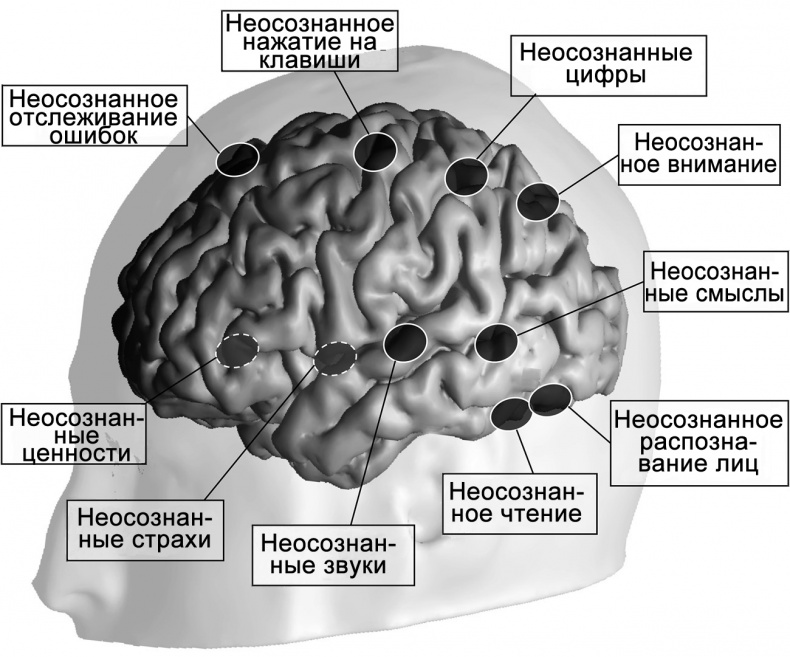 Сознание и мозг. Как мозг кодирует мысли