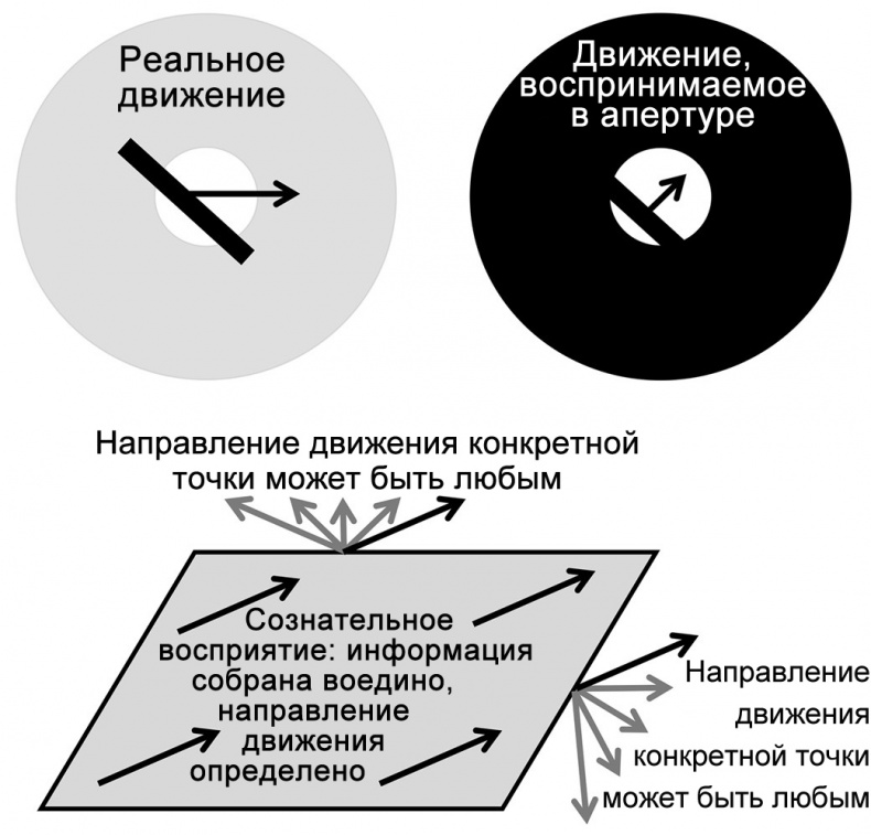 Сознание и мозг. Как мозг кодирует мысли