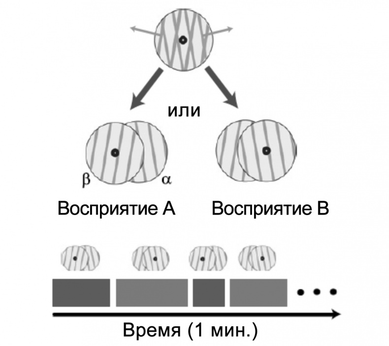 Сознание и мозг. Как мозг кодирует мысли