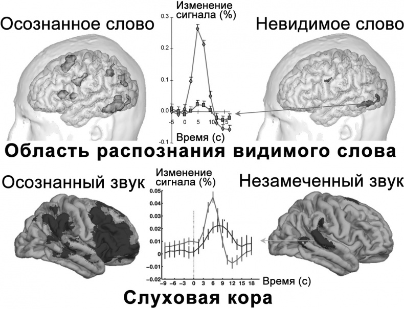 Сознание и мозг. Как мозг кодирует мысли