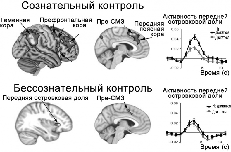 Сознание и мозг. Как мозг кодирует мысли