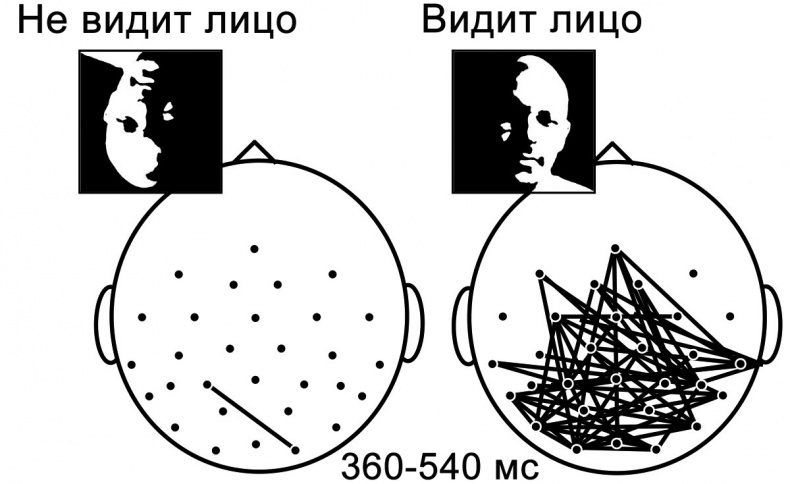 Сознание и мозг. Как мозг кодирует мысли