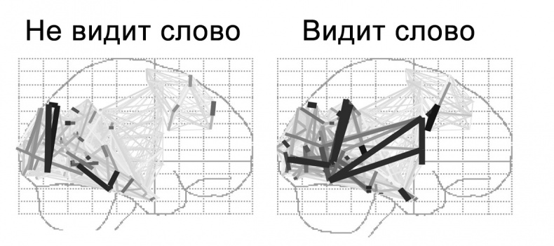 Сознание и мозг. Как мозг кодирует мысли