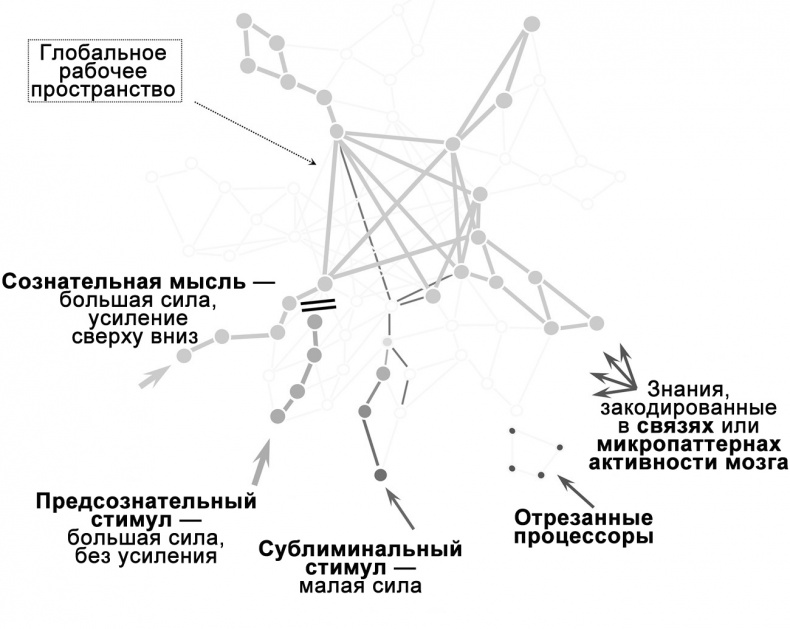 Сознание и мозг. Как мозг кодирует мысли