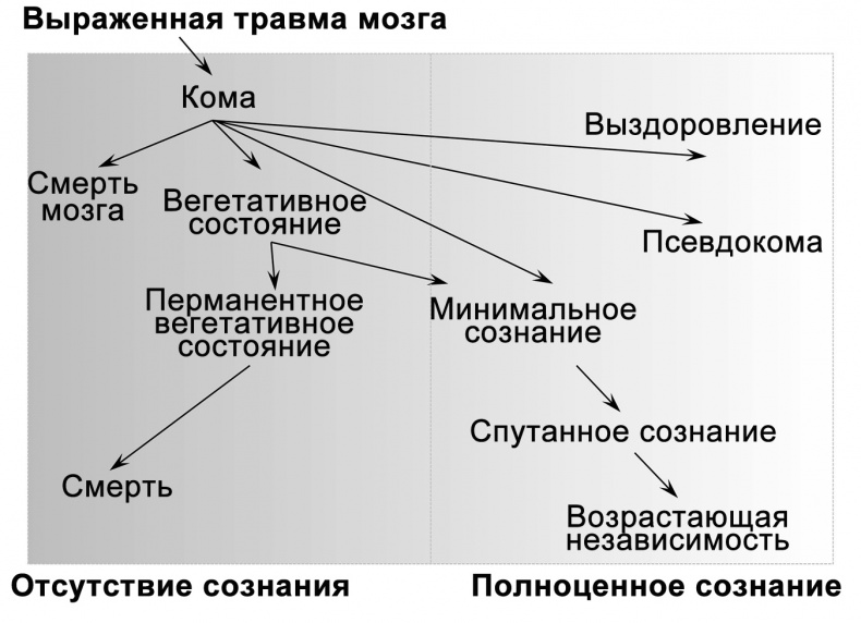 Сознание и мозг. Как мозг кодирует мысли