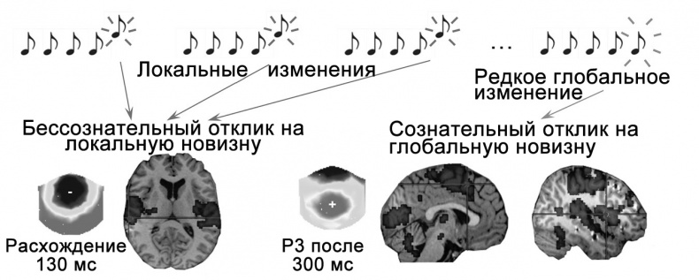 Сознание и мозг. Как мозг кодирует мысли