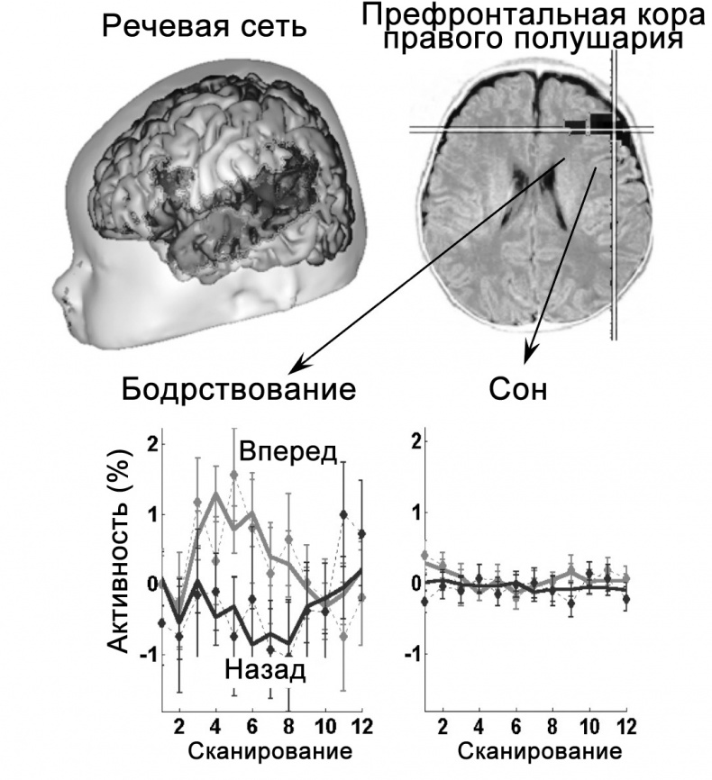 Сознание и мозг. Как мозг кодирует мысли