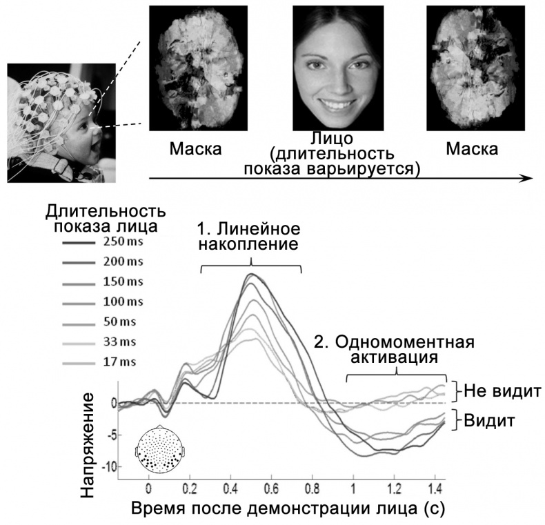 Сознание и мозг. Как мозг кодирует мысли