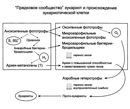 Рождение сложности. Эволюционная биология сегодня. Неожиданные открытия и новые вопросы