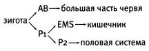 Рождение сложности. Эволюционная биология сегодня. Неожиданные открытия и новые вопросы