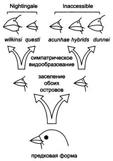 Рождение сложности. Эволюционная биология сегодня. Неожиданные открытия и новые вопросы