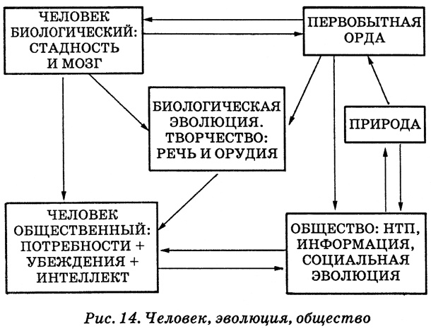 Энциклопедия Амосова. Алгоритм здоровья