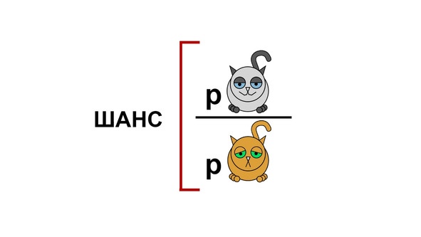 Статистика и котики