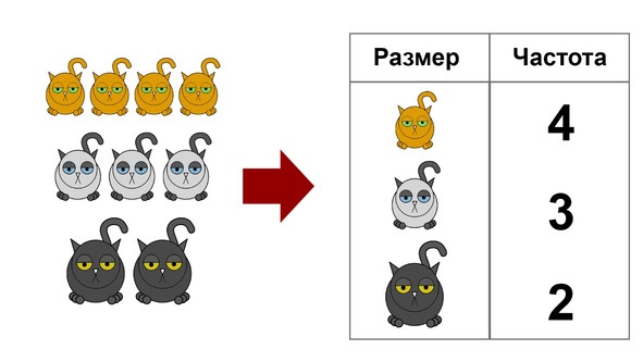 Статистика и котики