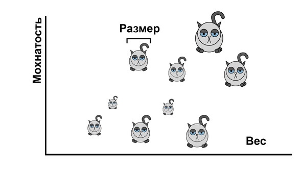 Статистика и котики